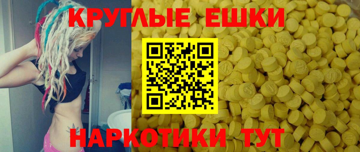 A PVP Долгопрудный