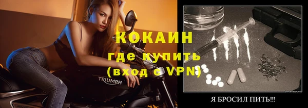 прущие грибы Михайловка