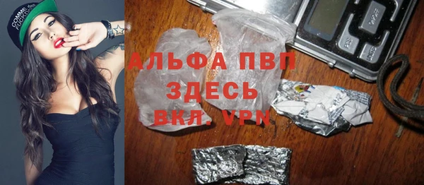 прущие грибы Михайловка
