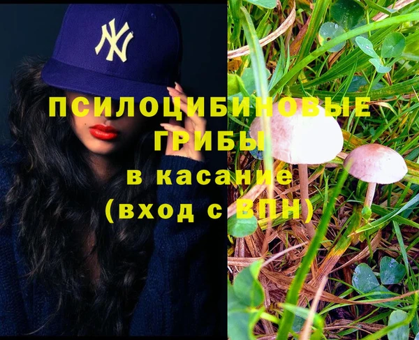 прущие грибы Михайловка