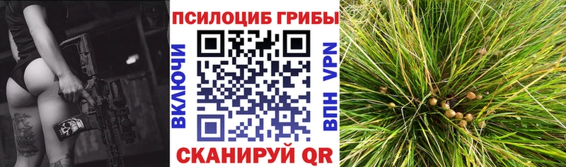 Галлюциногенные грибы мухоморы Долгопрудный