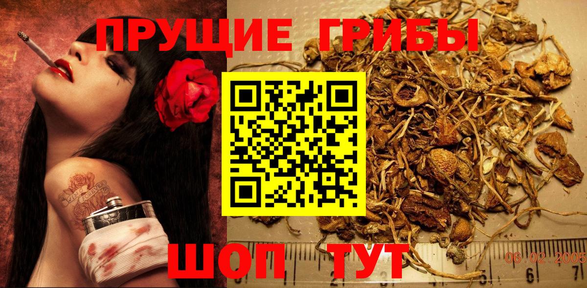 Галлюциногенные грибы Psilocybine cubensis  Вход с VPN  магазин  наркотиков  Долгопрудный  Галлюциногенные грибы GOLDEN TEACHER 