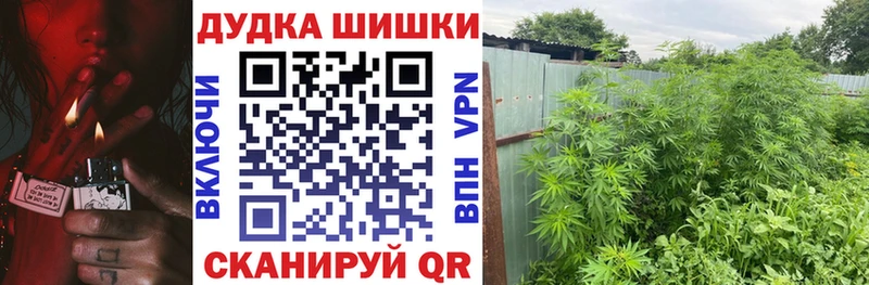 нарко площадка как зайти  Долгопрудный  hydra ССЫЛКА  Шишки марихуана планчик  закладки 